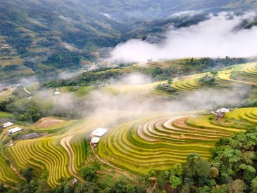 Khu bảo tồn thiên nhiên Pù Luông